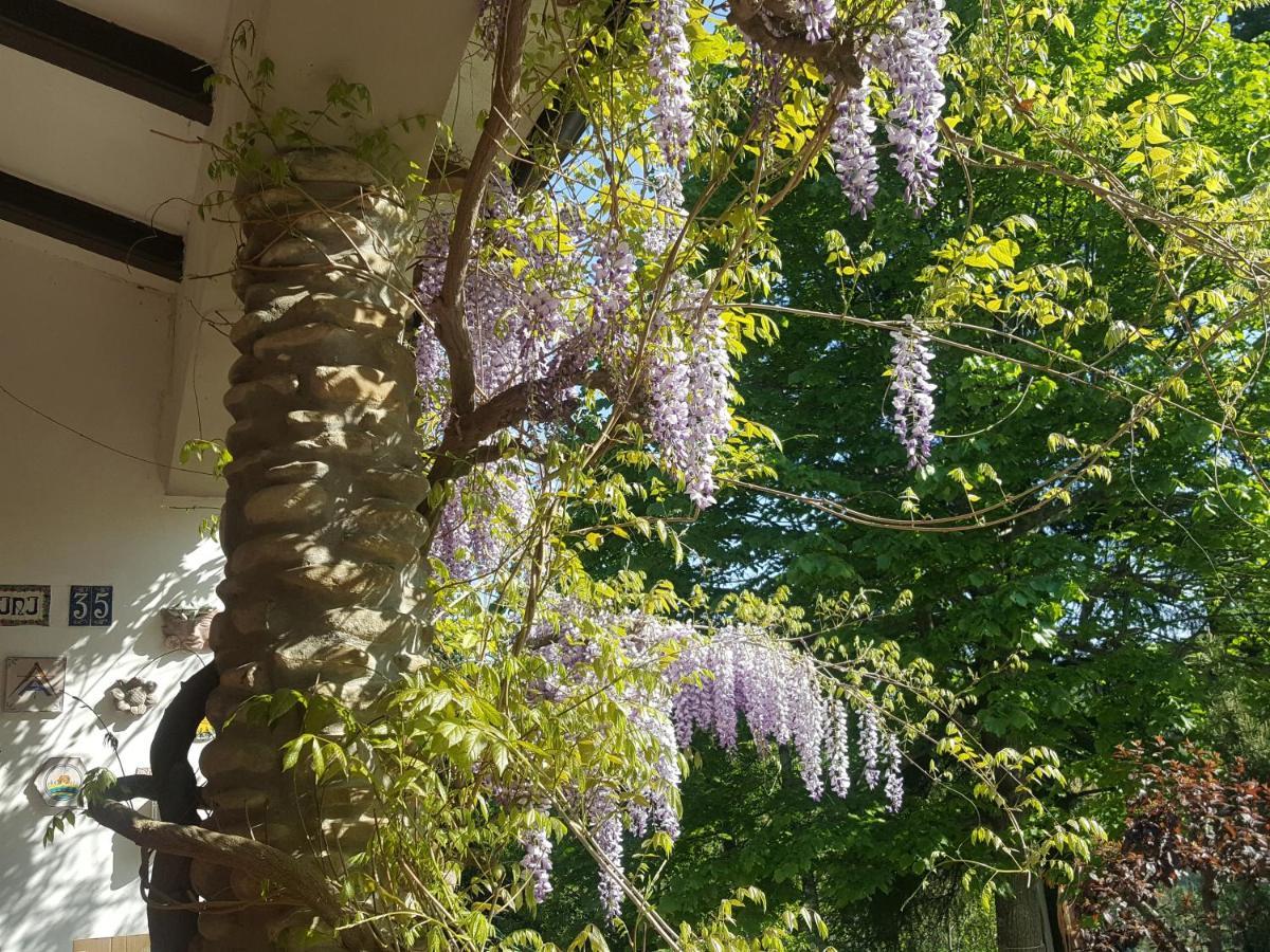 La Meridiana House Monterenzio Kültér fotó